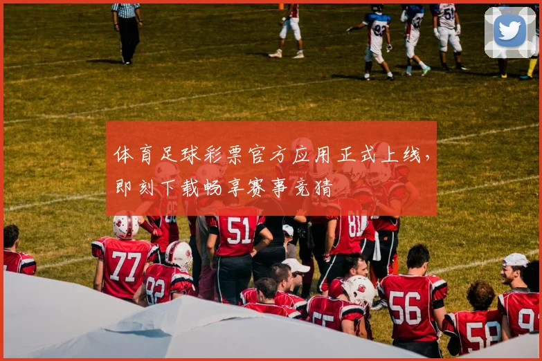 体育足球彩票官方应用正式上线,即刻下载畅享赛事竞猜
