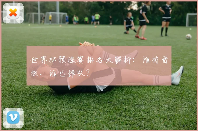 世界杯预选赛排名大解析：谁将晋级，谁已掉队？