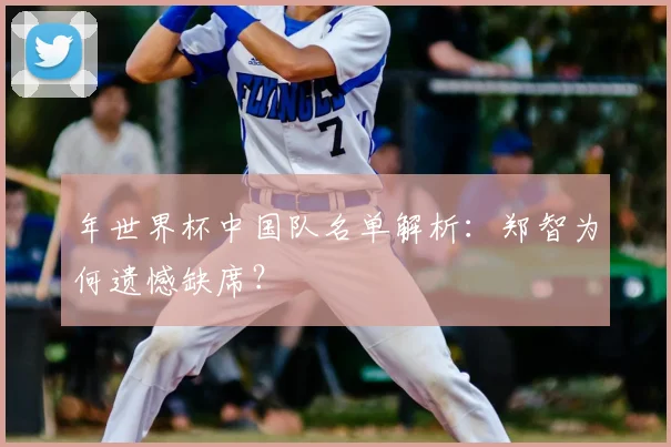 年世界杯中国队名单解析：郑智为何遗憾缺席？