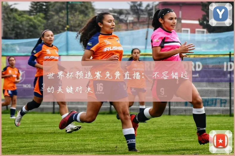 世界杯预选赛免费直播：不容错过的关键对决